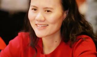 马云退阿里巴巴的原因